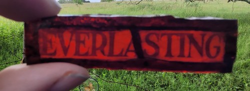 Stained glass everlasting - stained,