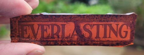 Stained glass everlasting - stained,